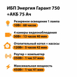 ИБП для котла Энергия Гарант 750 + Аккумулятор 75 Ач 12 В (450Вт - 91мин) - ИБП и АКБ - ИБП для котлов - . Магазин оборудования для автономного и резервного электропитания Ekosolar.ru в Владикавказе
